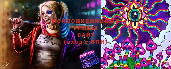 ECSTASY Аркадак